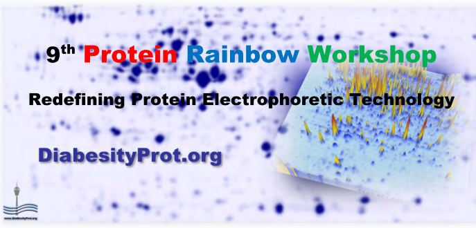 Rainbow Workshop 2017 logo and link to home page